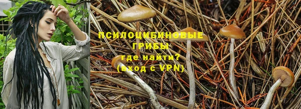 марки nbome Нефтегорск