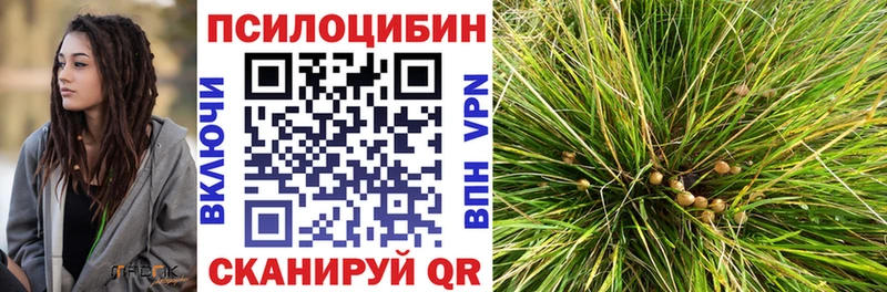 Галлюциногенные грибы мицелий  закладка  Старица 